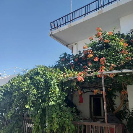 Ampelos Andros Batsi  Exterior photo